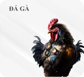 logo-daga-hq88