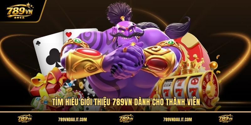 tim-hieu-gioi-thieu-789vn-danh-cho-thanh-vien